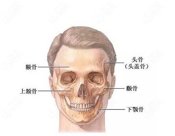 一,先看穿颧骨种植牙视频 穿颧种植牙是瑞典人branemark发明