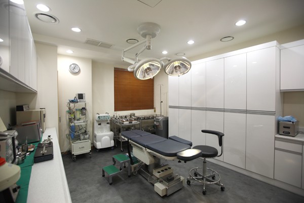 韩国首尔yonsei整形外科手术 室