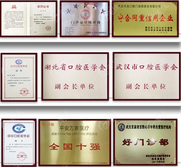 武漢愛(ài)尚大眾口腔部分榮譽(yù)