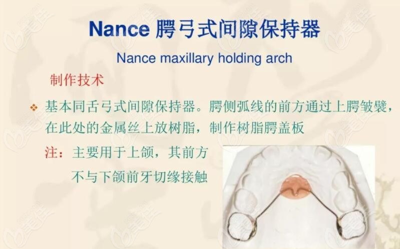 nance弓和横腭杆图片图片