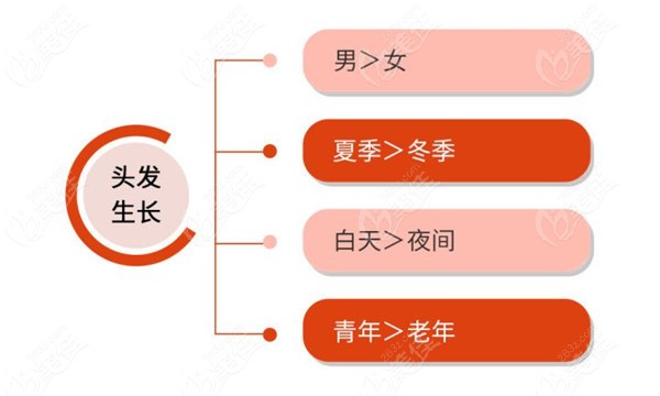 夏天植发恢复更快