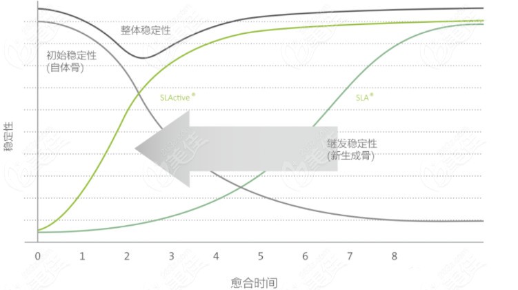 亲水种植体的愈合时间