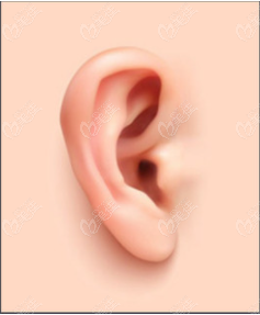 玻尿酸注射精灵耳能够维持多久呀？