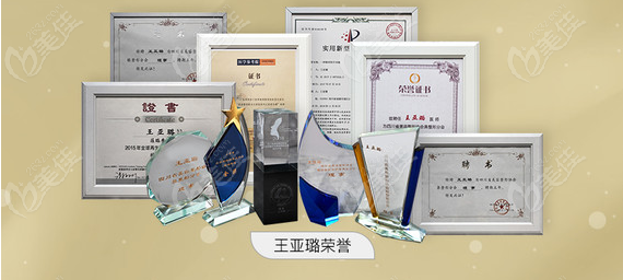 王亚璐医生部分荣誉证明