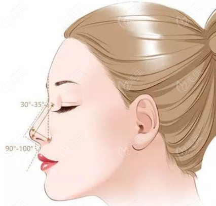长沙秦晓东医生做鼻修复参考的鼻部美学标准示意图