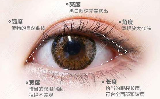 割双眼皮设计标准