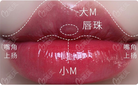 标准M唇形态图