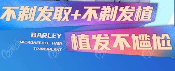 广州大麦微针分层剃发植发技术：30元/单位毛囊