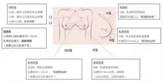 隆胸美学参考标准图