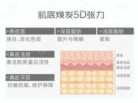 5D胶原光可以作用到的皮肤层次