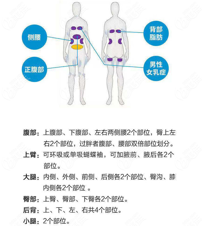 酷塑冷冻溶脂能操作的部位