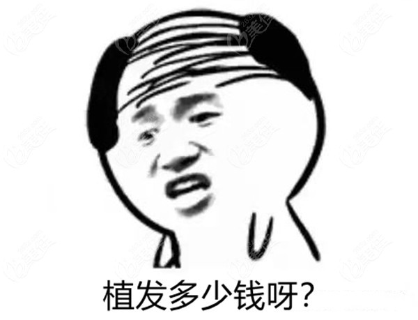 在内江植发多少钱？