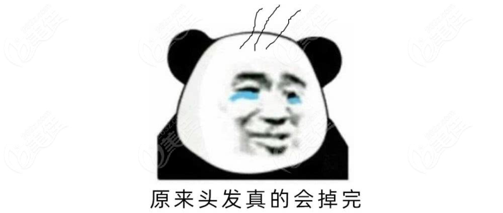 前额发际线植发1500株是多少单位