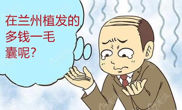 在兰州植发一毛囊单位十元起