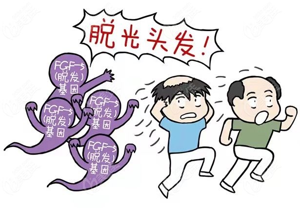 目前有治疗脱发生发的好方法吗