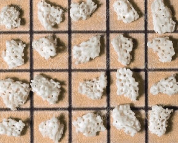 面部填充珊瑚骨材料