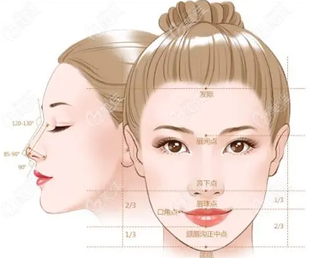 有没有隆鼻只做鼻头的？鼻整形可以只做鼻头吗?