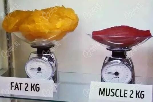 同等重量的脂肪和肌肉对比照
