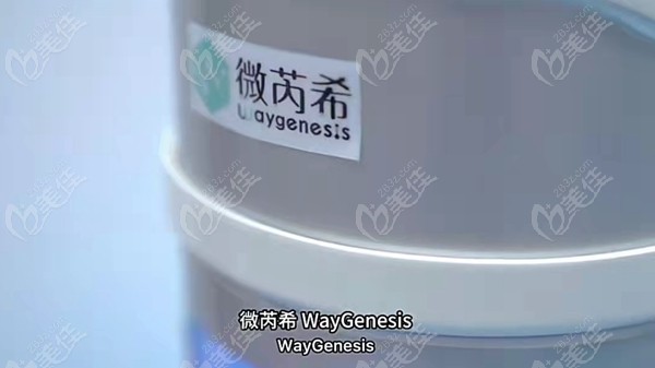 WayGenesis微芮希同源细胞技术