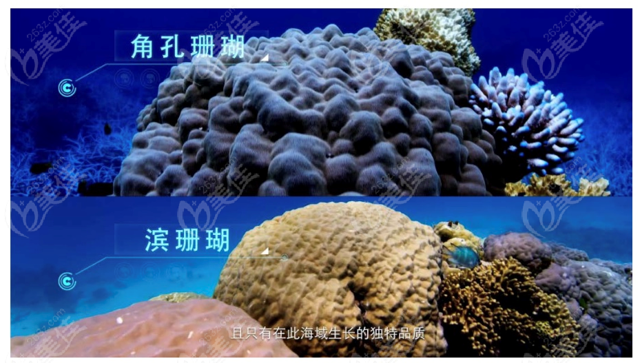 珊瑚骨材料