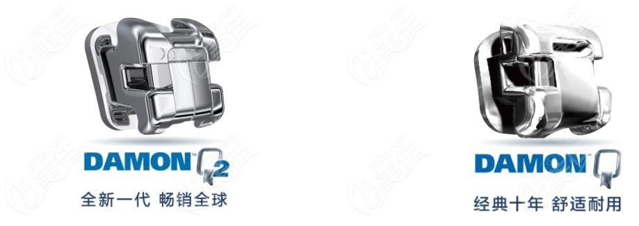 Damon Q和Damon Q2的区别
