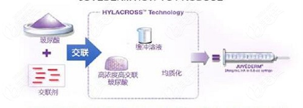 乔雅登丰颜和极 致的区别