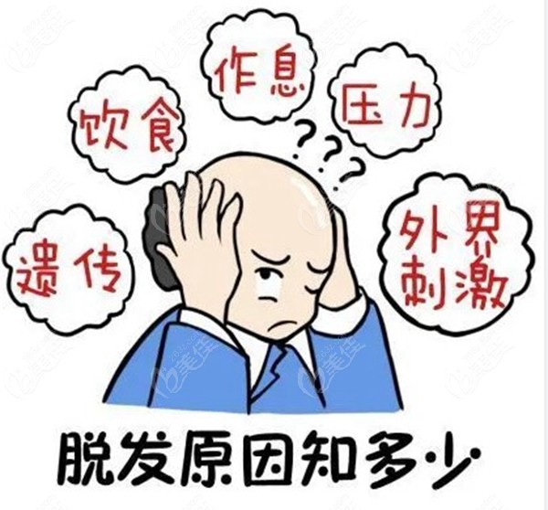 每个人脱发原因不一样