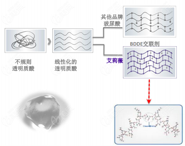 艾莉薇玻尿酸的交联技术