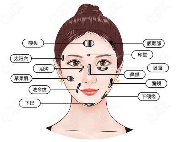 面部五官图及名称图片