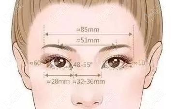 炯目术依据一定的美学标准设计