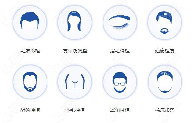 北京予馨美植发项目分类