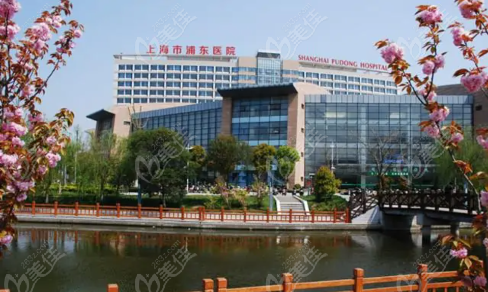 上海市浦东医院大楼展示图