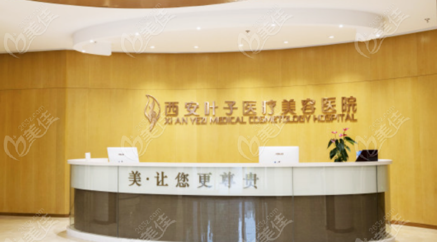 西安叶子236z.com