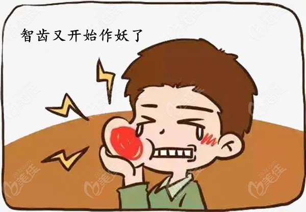 2022年拔智齿多少钱一颗