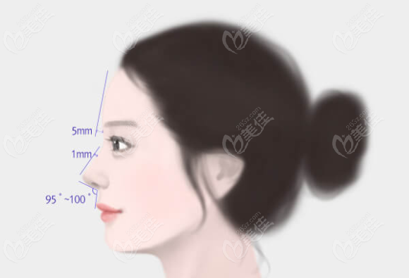 韩国菲斯莱茵faceline鼻修复比例设计