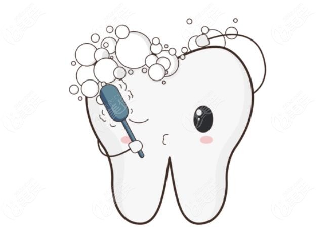 这是牙齿动画图片