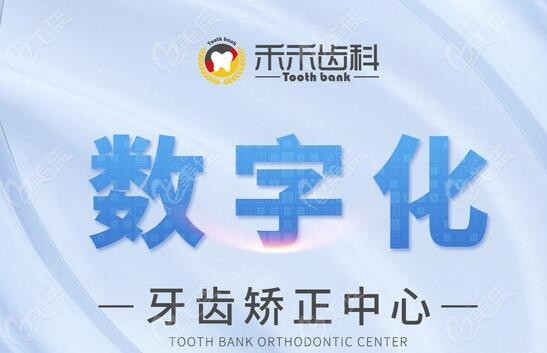 北京禾禾齿科张栋梁正畸收费价目表