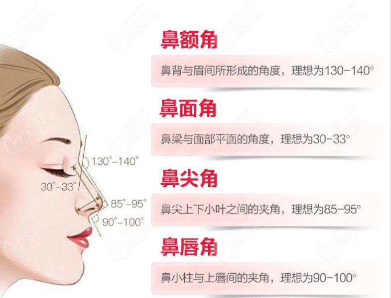 中国隆鼻手术美学