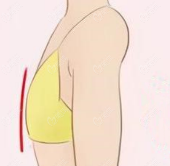 胸小（m.236z.com）