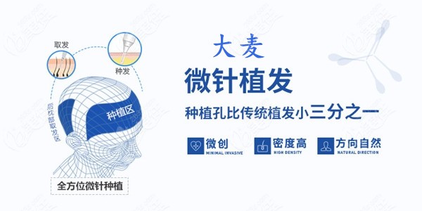 哈尔滨大麦微针植发价格