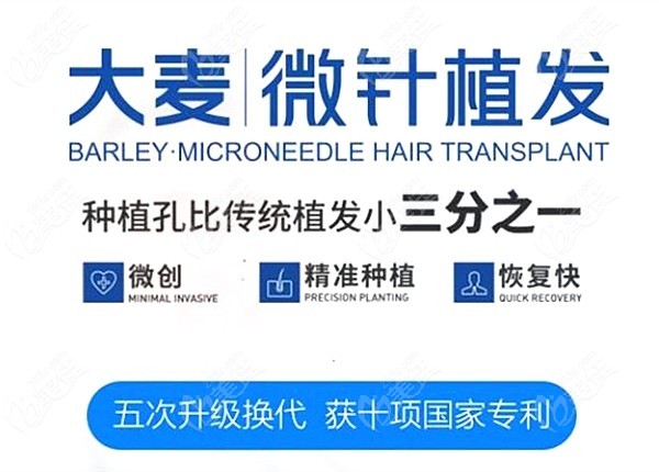 哈尔滨大麦微针植发