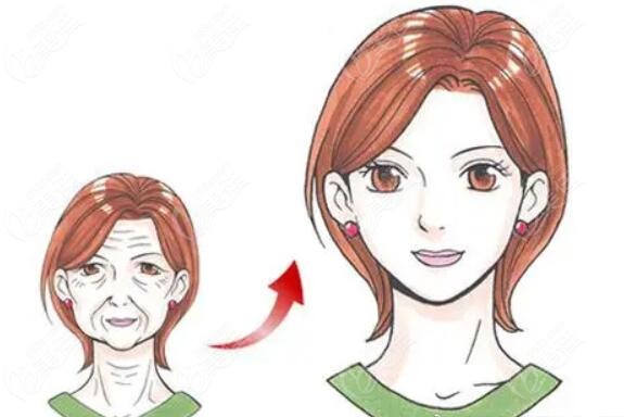 沈阳杏林做拉皮的大夫是谁