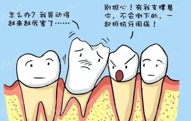 大部分牙齿松动都是牙周炎引起