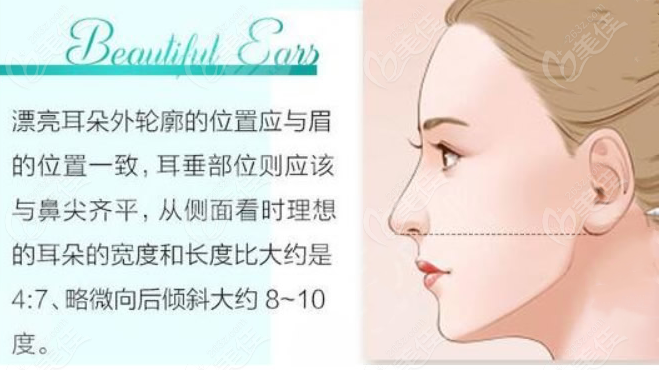 不同品牌玻尿酸打耳基底价格236z.com