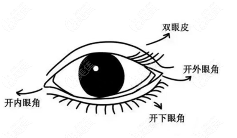 上海艺星大眼综合和小眼综合价格