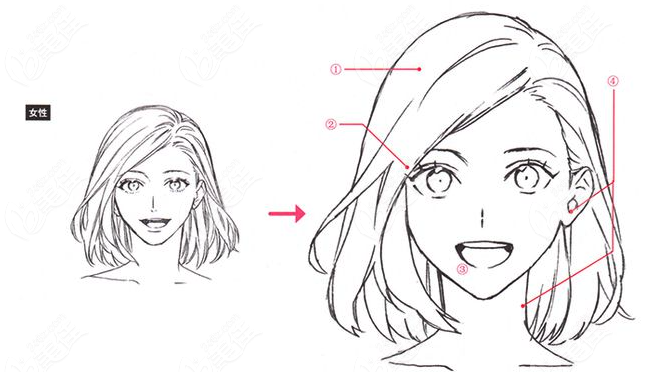 轮廓固定提升能保持多久