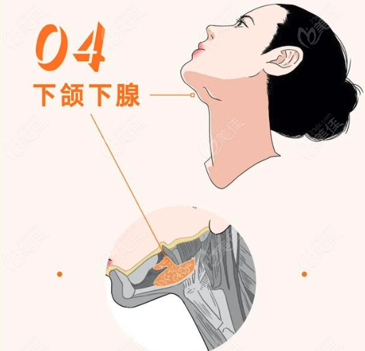 <!--<i data=20240703-sp></i>-->下頜緣提升醫(yī)院哪家好