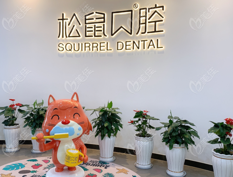 昆明松鼠口腔图片