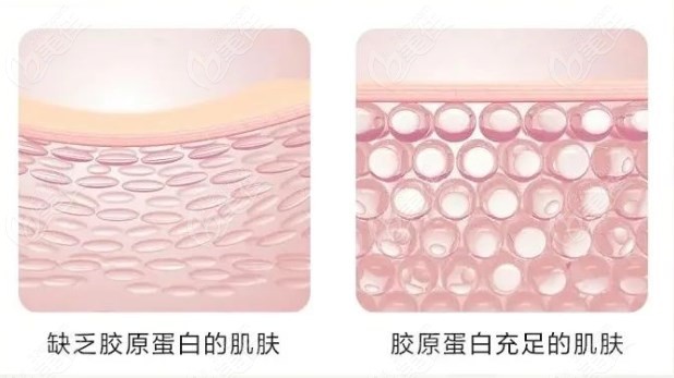 悦白之几胶原蛋白价格