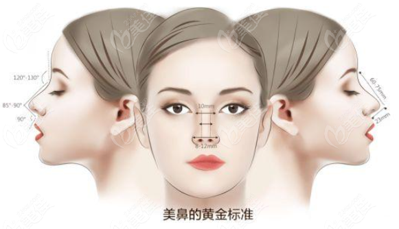鼻整形审美